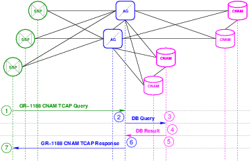 CNAM Transaction Flow – Locally Attached Database